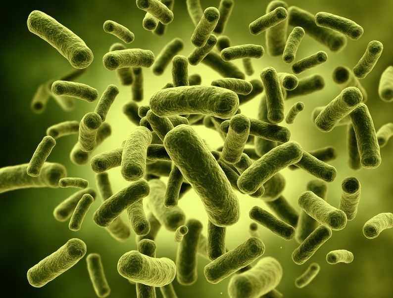 probiotic 0