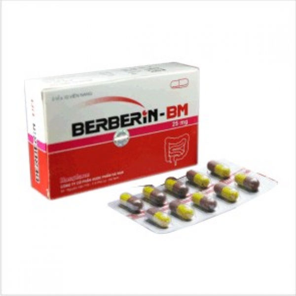 Đình chỉ lưu hành thuốc Berberin BM